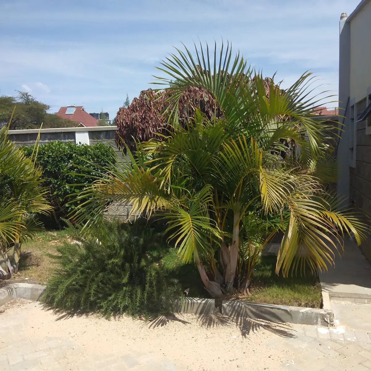 4-Bedroom House with DSQ, Cabro Paving, and Private Garden