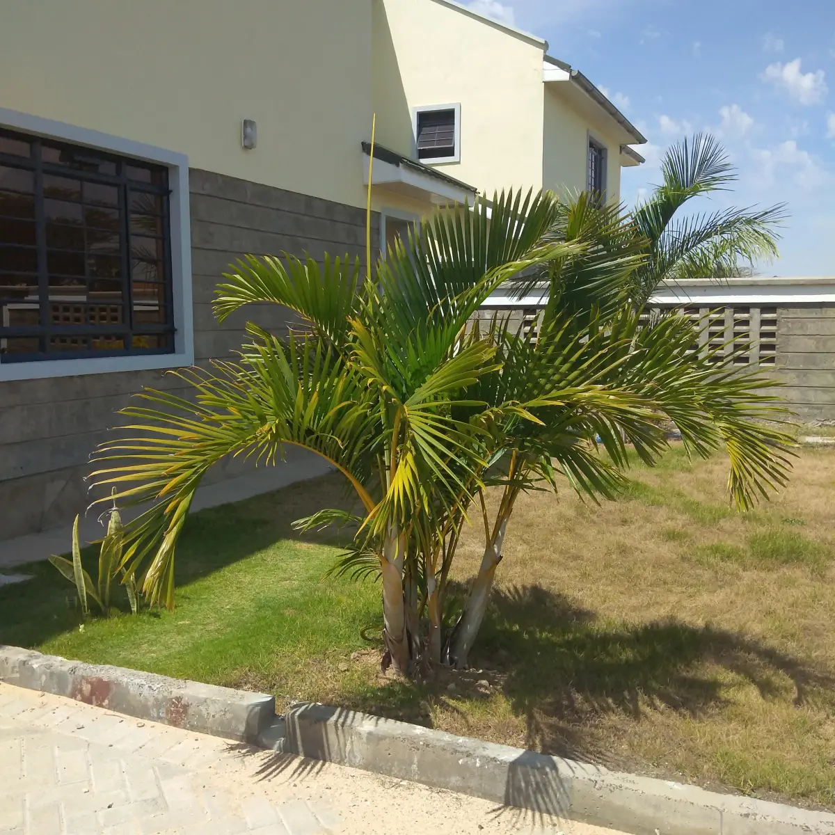 4-Bedroom House with DSQ, Cabro Paving, and Private Garden